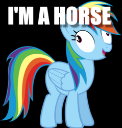 Size: 873x915 | Tagged: safe, rainbow dash, pegasus, pony, g4, black background, captain obvious, derp, female, image macro, mare, meme, open mouth, simple background, smiling, solo, wide eyes, you don't say