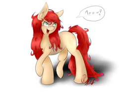 Size: 8752x6480 | Tagged: safe, artist:ruby dusk, oc, oc only, earth pony, pony, absurd resolution, solo