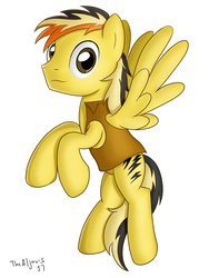 Size: 1024x1365 | Tagged: safe, artist:thealjavis, oc, oc only, pegasus, pony, clothes, male, simple background, solo, stallion, vest, white background