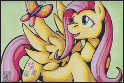 Size: 1783x1188 | Tagged: safe, artist:stormblaze-pegasus, fluttershy, butterfly, pony, g4, female, mare, simple background, smiling, solo, traditional art