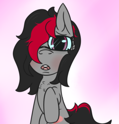 Size: 844x878 | Tagged: safe, artist:lazerblues, oc, oc only, oc:miss eri, pony, black and red mane, blushing, chest fluff, glasses, looking at you, solo, two toned mane