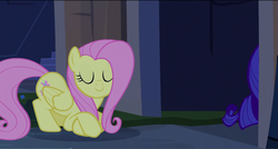 Size: 1360x730 | Tagged: safe, screencap, fluttershy, rarity, pony, castle mane-ia, g4, eyes closed, smiling