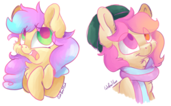 Size: 6714x4191 | Tagged: safe, artist:cutepencilcase, oc, oc only, oc:candy floss, oc:taco horse, pony, absurd resolution, clothes, duo, hat, heterochromia, scarf, smiling