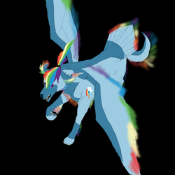 Size: 2000x2000 | Tagged: safe, artist:z-010, rainbow dash, dog, wolf, g4, dogified, female, high res, simple background, solo, species swap, winged dog