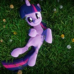 Size: 900x900 | Tagged: safe, artist:galawaille, twilight sparkle, alicorn, pony, g4, 3d, bellyrub request, blender, cute, dandelion, female, grass, imminent belly rub, looking at you, mare, on back, smiling, solo, twiabetes, twilight sparkle (alicorn)
