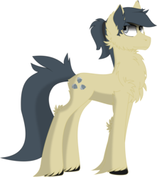 Size: 1406x1588 | Tagged: safe, artist:longct18, oc, oc only, earth pony, pony, chest fluff, simple background, solo, transparent background