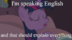 Size: 500x281 | Tagged: safe, edit, edited screencap, screencap, twilight sparkle, alicorn, pony, g4, princess spike, animated, bed, brows held high, cute, discovery family, discovery family logo, english, eyes closed, female, gif, image macro, lidded eyes, meme, sleepy, smiling, solo, some jerk with a camera, talking, twilight sparkle (alicorn)