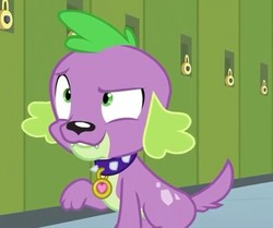 Size: 410x343 | Tagged: safe, screencap, spike, spike the regular dog, dog, equestria girls, g4, my little pony equestria girls: friendship games, male, solo, spike's dog collar