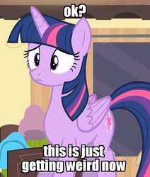 Size: 879x1039 | Tagged: safe, edit, edited screencap, screencap, twilight sparkle, alicorn, pony, rarity takes manehattan, confused, female, frown, image macro, mare, meme, reaction image, solo, twilight sparkle (alicorn), wide eyes, worried