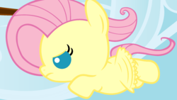 Size: 1920x1080 | Tagged: safe, artist:beavernator, fluttershy, pony, g4, baby, baby pony, babyshy, cute, flying, foal, small wings