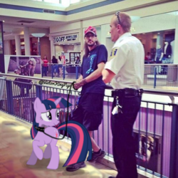 Size: 599x600 | Tagged: safe, edit, twilight sparkle, g4, beard, collar, facial hair, glasses, irl, leash, photo, police officer, ponies in real life, redneck