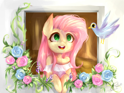 Size: 640x480 | Tagged: safe, artist:pinkymynery2212, fluttershy, bird, pony, g4, blue rose, clothes, colored pupils, cute, female, flower, open mouth, rose, shyabetes, smiling, solo, trash dove, window