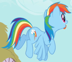 Size: 471x405 | Tagged: safe, screencap, rainbow dash, pegasus, pony, a bird in the hoof, g4, season 1, animated, cropped, cute, dashabetes, derp, female, flapping, flying, gif, loop, mare, open mouth, rainbow dash is best facemaker, raised hoof, silly, silly pony, smiling, solo, spread wings, tongue out