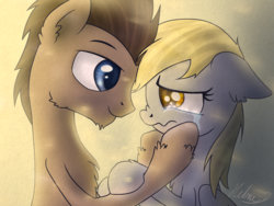 Size: 1920x1440 | Tagged: safe, artist:helmie-art, derpy hooves, doctor whooves, time turner, earth pony, pegasus, pony, g4, cheering up, chest fluff, comforting, crying, female, floppy ears, looking at each other, male, regeneration, sad, ship:doctorderpy, shipping, smiling, straight