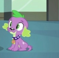 Size: 347x344 | Tagged: safe, screencap, spike, dog, equestria girls, g4, my little pony equestria girls, male, paws, solo, spike the dog, spike's dog collar