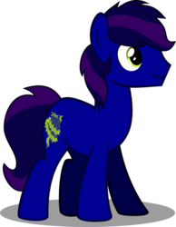 Size: 788x1014 | Tagged: safe, artist:fillydrawsilly, artist:xyvernartworks, oc, oc only, oc:bramble snap, g4, cutie mark, show accurate, simple background, transparent background, vector