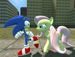 Size: 1024x768 | Tagged: safe, artist:jjsonicblast86, fluttershy, g4, 3d, crossover, gmod, male, sonic the hedgehog, sonic the hedgehog (series)