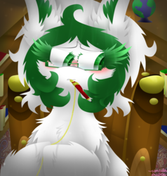Size: 1024x1076 | Tagged: safe, artist:vanillaswirl6, oc, oc only, oc:saxony, earth pony, pony, vanillaswirl6's state ponies, blushing, book, bookshelf, chair, cheek fluff, chest fluff, colored eyelashes, colored pupils, curly hair, dust particles, ear fluff, female, floor, fluffy, german, germany, glasses, globe, green eyes, hoof hold, librarian, library, looking down, messy mane, mouth hold, nervous, nose wrinkle, pen, saxony, shading, signature, sitting, solo
