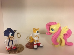 Size: 3264x2448 | Tagged: safe, artist:darthraner83, fluttershy, g4, crossover, funko, high res, irl, male, miles "tails" prower, photo, resaurus, sonic the hedgehog, sonic the hedgehog (series), toy