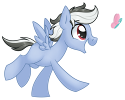 Size: 1024x819 | Tagged: safe, artist:kellythedrawinguni, oc, oc only, oc:sharp focus, butterfly, pegasus, pony, male, simple background, skunk stripe, solo, stallion, transparent background