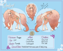 Size: 1500x1205 | Tagged: safe, artist:niniibear, oc, oc only, pegasus, pony, blue, brown, bust, cute, fluffy, info, portrait, reference sheet, sheet, side view, solo, wings