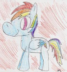 Size: 1073x1143 | Tagged: safe, artist:ptitemouette, rainbow dash, g4, female, solo, traditional art