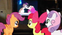 Size: 1696x954 | Tagged: safe, apple bloom, scootaloo, sweetie belle, g4, cutie mark crusaders, lady and the tramp, meme, television