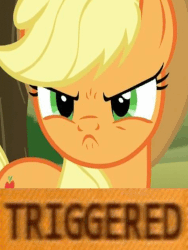 Size: 512x680 | Tagged: safe, edit, edited screencap, screencap, applejack, earth pony, pony, g4, no second prances, season 6, >:c, angry, animated, cropped, cute, cute when angry, female, frown, gif, madorable, meme, shaking, solo, triggered, vibrating