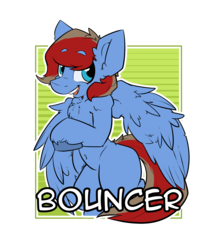 Size: 2100x2400 | Tagged: safe, artist:bbsartboutique, oc, oc only, oc:bouncer, pegasus, pony, badge, con badge, high res, smiling, solo