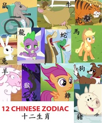 Size: 669x808 | Tagged: safe, applejack, bessie, mr. mousey, scootaloo, spike, winona, big cat, cow, dog, dragon, horse, monkey, mouse, pig, rabbit, rat, sheep, snake, tiger, g4, chinese, chinese zodiac, scootachicken