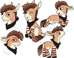 Size: 900x701 | Tagged: safe, artist:tambelon, oc, oc only, oc:bucky, hybrid, pony, zonkey, bandana, expressions, male, sketch, sketch dump, stallion, watermark