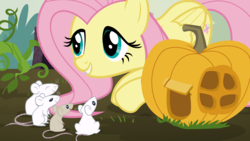 Size: 16000x9000 | Tagged: safe, artist:sollace, fluttershy, mouse, pegasus, pony, g4, the hooffields and mccolts, .svg available, absurd resolution, crouching, cute, female, mare, pumpkin, pumpkin house, show accurate, smiling, vector