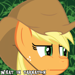 Size: 1000x1000 | Tagged: safe, artist:yinglung, applejack, earth pony, pony, g4, applejack is best facemaker, female, meme, ponified animal photo, solo, wat, what in tarnation