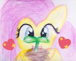 Size: 1596x1280 | Tagged: safe, artist:tanishi194, fluttershy, pegasus, pony, g4, bust, cute, female, happy, heart, hoof hold, looking at you, mare, open mouth, portrait, shyabetes, smiling, solo, sprout, stars, traditional art