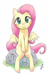 Size: 1000x1534 | Tagged: safe, artist:yanamosuda, fluttershy, pegasus, pony, g4, blushing, cute, female, looking at you, mare, rock, shyabetes, sitting, smiling, solo, spread wings, wings