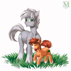 Size: 1200x1200 | Tagged: safe, artist:margony, oc, oc only, earth pony, pony, ear fluff, eyes closed, female, filly, foal, grass, male, simple background, stallion, white background