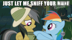 Size: 900x508 | Tagged: safe, edit, edited screencap, screencap, daring do, rainbow dash, pegasus, pony, daring don't, g4, animated, behaving like a cat, censored, creepy rainbow dash, cute, female, frown, gif, gritted teeth, hoofy-kicks, image macro, mare, meme, open mouth, pawing, unnecessary censorship, worried