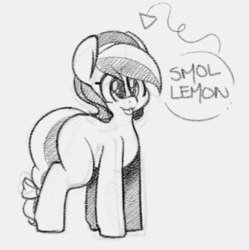 Size: 1280x1283 | Tagged: safe, artist:quarantinedchaoz, oc, oc only, oc:lemon frost, pony, bow, explicit source, grayscale, monochrome, smiling, solo, tail bow, tongue out