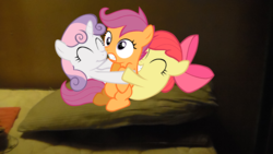 Size: 1696x954 | Tagged: safe, apple bloom, scootaloo, sweetie belle, g4, bed, cutie mark crusaders, irl, photo, ponies in real life