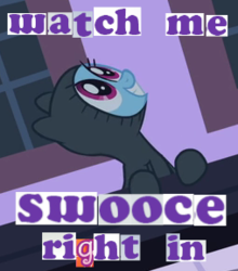 Size: 254x288 | Tagged: safe, screencap, rainbow dash, pony, g4, my little pony: friendship is magic, read it and weep, caption, clothes, expand dong, exploitable meme, female, hoodie, image macro, meme, scooby-doo!, skooks, sneaking suit, solo, swooce, the misadventures of skooks, youtube poop