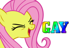 Size: 1016x686 | Tagged: safe, fluttershy, pegasus, pony, g4, eyes closed, female, flutteryay, gay, male, mare, meme, yay