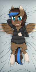 Size: 625x1250 | Tagged: safe, artist:higglytownhero, oc, oc only, oc:playthrough, pegasus, pony, body pillow, body pillow design, clothes, commission, hoodie, looking at you, lying down, male, on back, open mouth, smiling, solo, spread wings, stallion, sweater, wings