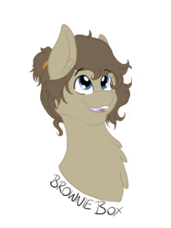 Size: 720x960 | Tagged: safe, artist:absolutecactus, oc, oc only, oc:brownie box, earth pony, pony, bust, next generation, nextgen:entroverse, offspring, parent:featherweight, parent:pumpkin cake, parents:pumpkinweight, simple background, solo, transparent background