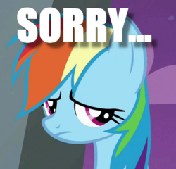 Size: 494x474 | Tagged: safe, edit, edited screencap, screencap, rainbow dash, g4, frown, image macro, meme, sad, sorry