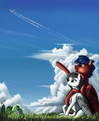 Size: 3490x4259 | Tagged: safe, artist:lightly-san, oc, oc only, pegasus, pony, airbus, airbus a330, cloud, female, high res, male, mare, plane, sky, stallion