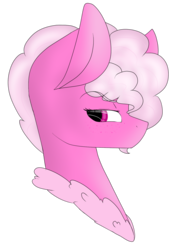 Size: 1170x1650 | Tagged: safe, artist:cyrinthia, oc, oc only, oc:raspberry, earth pony, pony, bust, female, mare, portrait, simple background, solo, transparent background