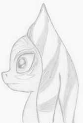 Size: 443x659 | Tagged: safe, artist:qtluna, derpibooru exclusive, oc, oc only, pony, togruta, bust, monochrome, ponified, portrait, profile, sketch, solo, star wars, traditional art