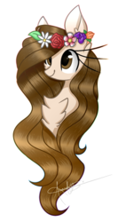 Size: 790x1490 | Tagged: safe, artist:derp-berry, oc, oc only, pony, bust, female, floral head wreath, flower, mare, portrait, simple background, solo, transparent background