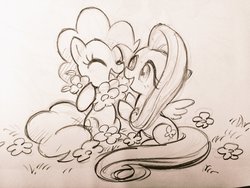 Size: 2048x1536 | Tagged: safe, artist:s-bis, fluttershy, pinkie pie, earth pony, pegasus, pony, duo, flower, grayscale, monochrome, pencil drawing, sketch, traditional art