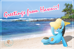 Size: 3872x2592 | Tagged: safe, artist:iheartjapan789, oc, oc only, oc:andrea, pony, unicorn, beach, hat, hawaii, high res, irl, photo, ponies in real life, postcard